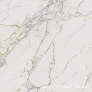Керамогранит для пола и стены Atlas Concorde Italy Marvel  Calacatta Extra Lappato 120x120 AY2R