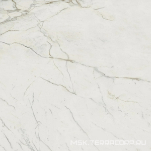 Керамогранит для пола и стены Atlas Concorde Italy Marvel  Calacatta Extra Lappato 120x120 AY2R