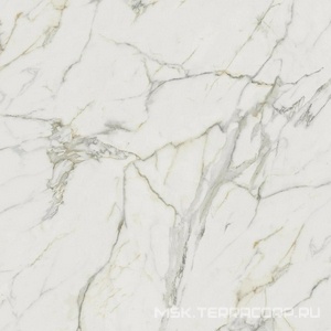 Керамогранит для пола и стены Atlas Concorde Italy Marvel  Calacatta Extra Lappato 120x120 AY2R