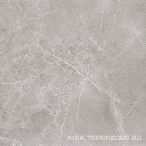 Керамогранит для пола и стены Zerde Pulpis  grey 60x60 00000004469