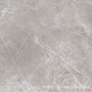 Керамогранит для пола и стены Zerde Pulpis  grey 60x60 00000004469