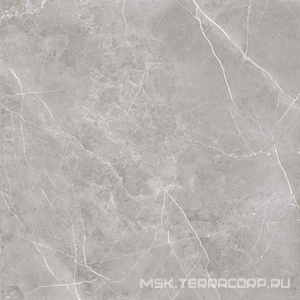 Керамогранит для пола и стены Zerde Pulpis  grey 60x60 00000004469