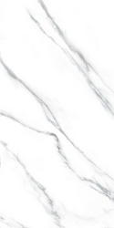 Carrara Nplus ZZ|60x120
