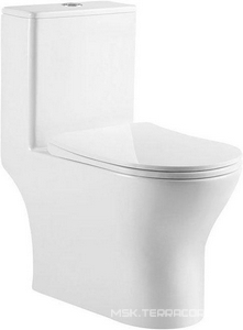 Унитаз напольный, моноблок, арматура, сиденье с микролифтом в компл.,  ZZ BelBagno Lounge BB8618CPR-MN/SC