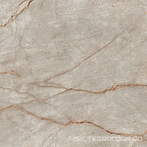 Керамогранит для пола и стены AtlasConcorde Россия EMPIRE Empire Silver Root 80x80 Lapp/ЭМПАИР СИЛЬВЕР РУТ 80x80 ЛАП XX 610015000611