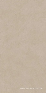 Керамогранит для пола и стены Atlas Concorde Italy Boost Natural  Ash 60x120 A6WV