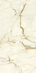 Calacatta Macchia Vecchia Luc  XX |30x60