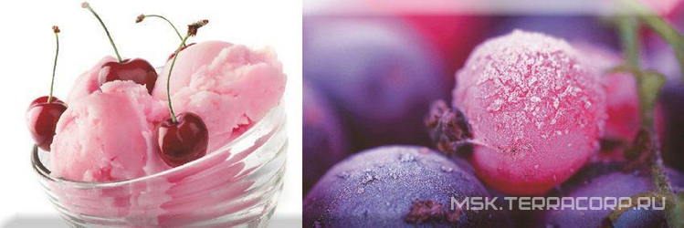 Decor Candy Fruits 01 XX |10x30