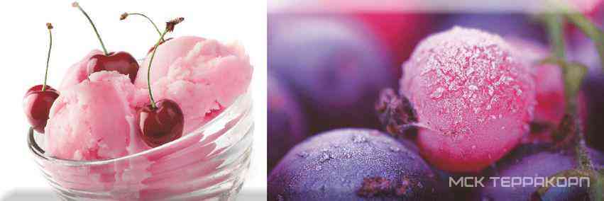 Decor Candy Fruits 01 XX |10x30