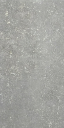 Ardenne Grigio 20x40