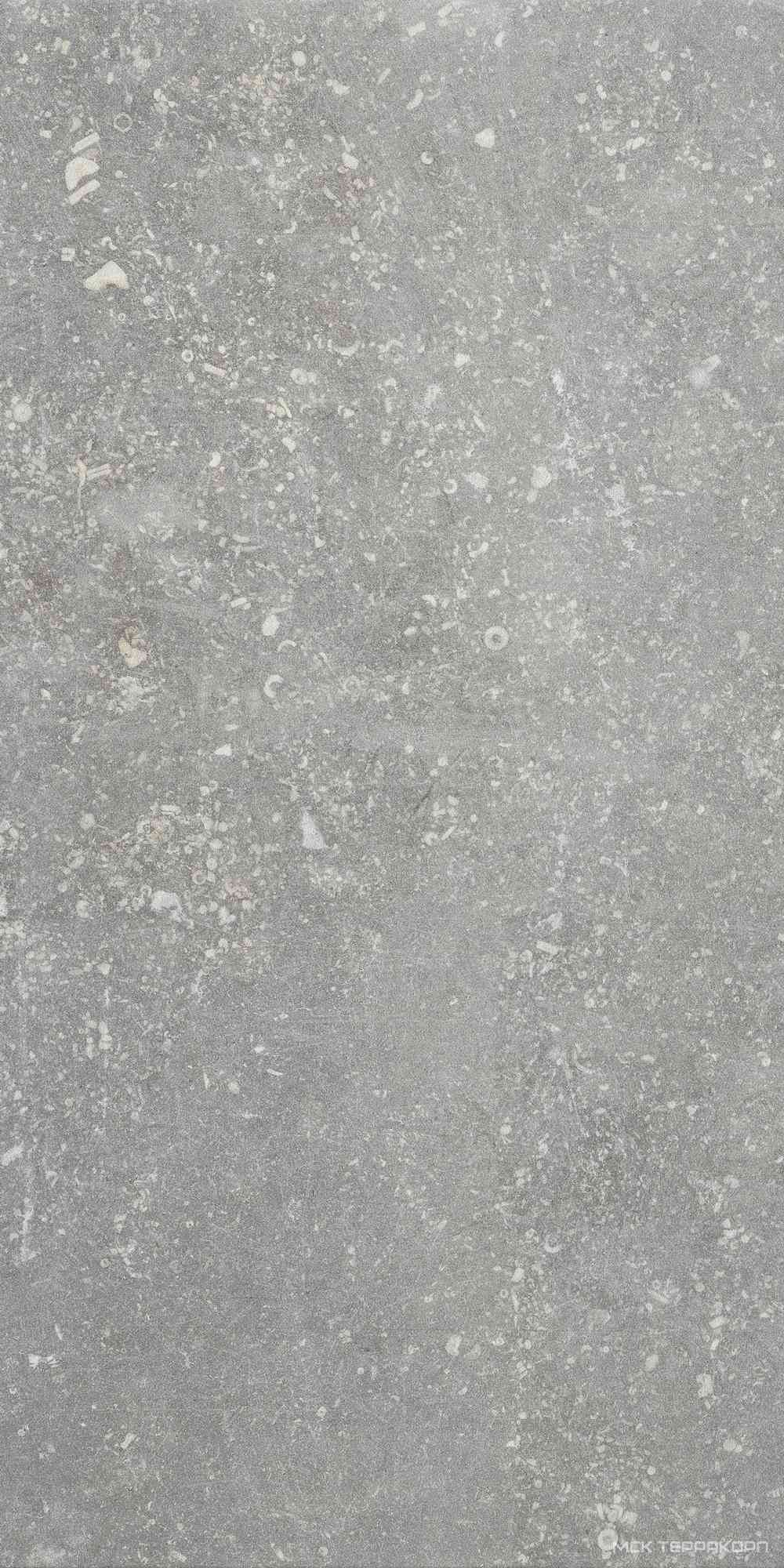 Ardenne Grigio 20x40
