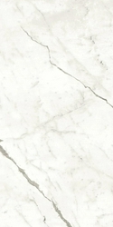 Marvel Statuario Supremo Matt |60x120