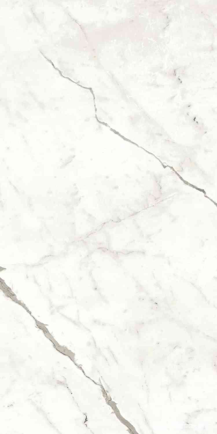Marvel Statuario Supremo Matt |60x120