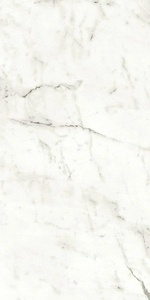 Керамогранит для пола и стены Atlas Concorde Italy Marvel Shine Marvel Statuario Supremo Matt 60x120 A4QY