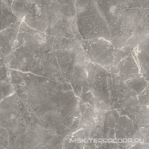 Керамогранит для пола и стены Atlas Concorde Italy Marvel Pro Marvel Grey Fleury Lapp. 75x75 XX AD4Y