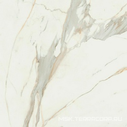 Calacata Gold  Compacglass 120x120 Rec.