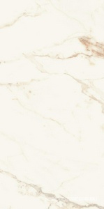 Керамогранит для пола и стены La Faenza Aesthetica AE CAP6 12 LP 60x120 182579