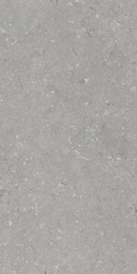 Shellstone Grigio 60x120