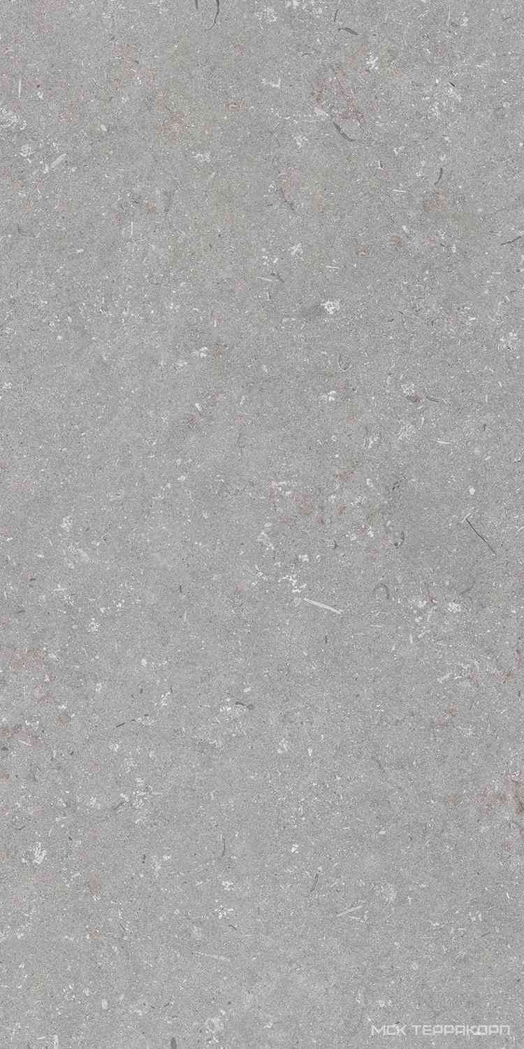 Shellstone Grigio 60x120