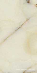 Керамогранит для пола и стены Fusure Ceramic Luxury Stone  SS12050 Pol 60x120 SS12050