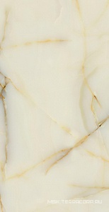 Керамогранит для пола и стены Fusure Ceramic Luxury Stone  SS12050 Pol 60x120 SS12050