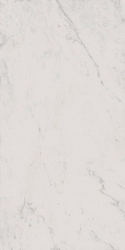 Melody MO01 white непол. 30.6x60.9