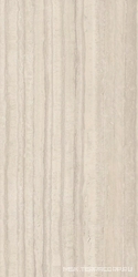 Travertino Silver Prelucidato (Soft) 60x120