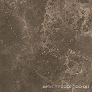 Керамогранит для пола FAP Ceramiche roma  Imperiale Matt RT 60x60 Коричневый fLRC