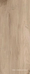 Supreme beige wall 04 25х60