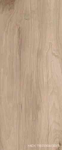 Supreme beige wall 04 25х60