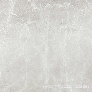 Керамогранит для пола Гранитея uvildy/увильды Uvildy Grey G363/ серый мат.60x60 Серый G363MR