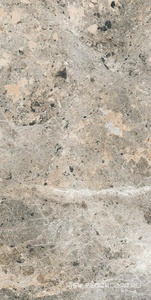 Керамогранит для пола и стены Alpas Euro Premium Marble Alaska Grey Pol. 60x120 n159742