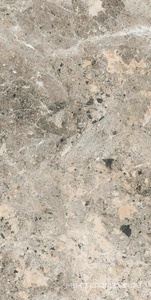 Керамогранит для пола и стены Alpas Euro Premium Marble Alaska Grey Pol. 60x120 n159742