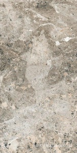 Керамогранит для пола и стены Alpas Euro Premium Marble Alaska Grey Pol. 60x120 n159742