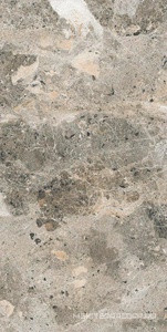 Керамогранит для пола и стены Alpas Euro Premium Marble Alaska Grey Pol. 60x120 n159742