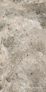 Керамогранит для пола и стены Alpas Euro Premium Marble Alaska Grey Pol. 60x120 n159742