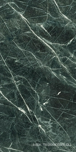 Керамогранит для пола и стены Emil Ceramica Tele Di Marmo Revolution Verde saint denis Lap ZZ60x120 EHA9