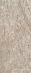 Керамогранит для пола и стены AtlasConcorde Россия EMPIRE Empire Silver Root 120x278 Lapp/ЭМПАИР СИЛЬВЕР РУТ 120x278 ЛАП 600180000015