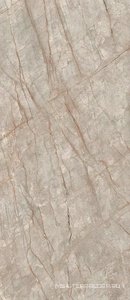 Керамогранит для пола и стены AtlasConcorde Россия EMPIRE Empire Silver Root 120x278 Lapp/ЭМПАИР СИЛЬВЕР РУТ 120x278 ЛАП 600180000015