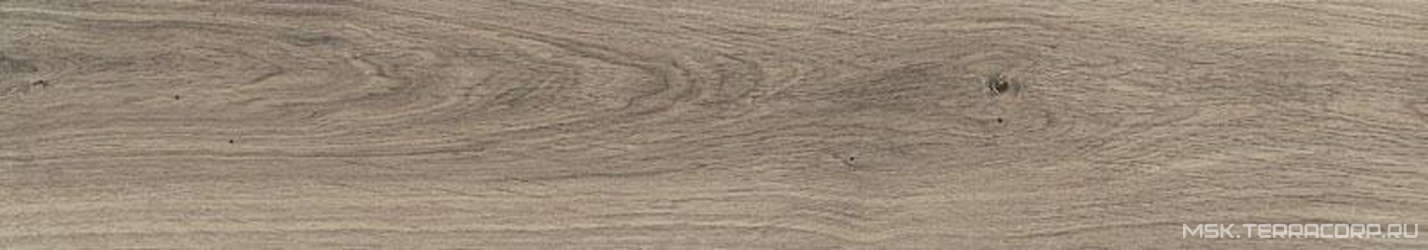 Copenhague Antico lev rect. XX |20x114