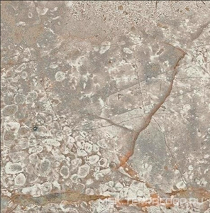 Керамогранит для пола и стены AtlasConcorde Россия EMPIRE Empire Silver Root Bottone Lap/ЭМПАИР СИЛЬВЕР РУТ ВСТАВКА ЛАП 7,2x7,2 610090002376