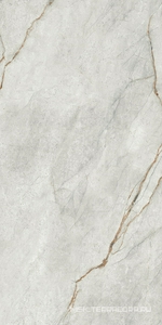 Керамогранит для пола и стены Imola The Room Gre Ro6 12RM 60x120 177340