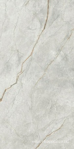 Керамогранит для пола и стены Imola The Room Gre Ro6 12RM 60x120 177340