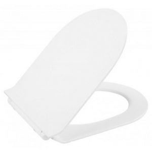 Сиденье для унитаза, с микролифтом,  ZZ BelBagno Flay-R BB2111SC