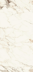 AE CAP6 260 LP  XX 120x260