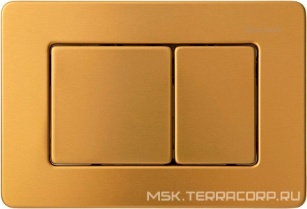 Кнопка двойного смыва, пневм., для инсталляции д/унитаза, (сталь цв.золото браш.),  Allen Brau Infinity 9.20006.GB