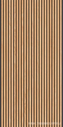 Canne Honey Black 60x120