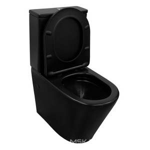 Унитаз напольный  370х605х800 мм, безободковый с сиденьем микролифт в компл., цв. черный матовый ZZ Azario Black Queen AZ-8380