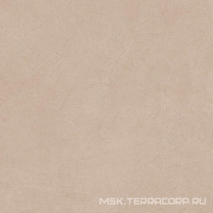 Керамогранит для пола и стены Atlas Concorde Italy Boost Natural  Ash 60x60 A659