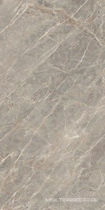 Керамогранит для пола и стены Florim Magnum Etoile De Rex Etoile Gris Glossy 120x280 761728